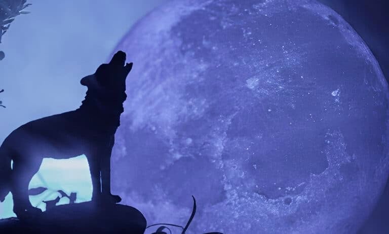 Το «Φεγγάρι του Λύκου» έρχεται στις 3 Ιανουαρίου – Η πρώτη πανσέληνος του 2026 επηρεάζει τρία ζώδια