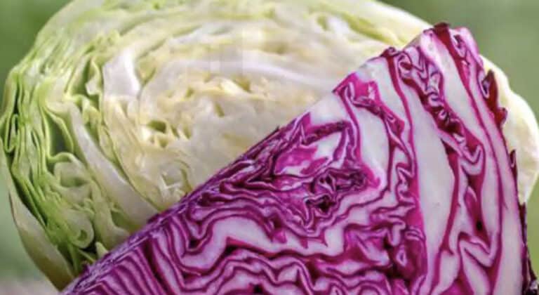 Οι γιατροί αποκαλύπτουν ότι η κατανάλωση λάχανου προκαλεί…