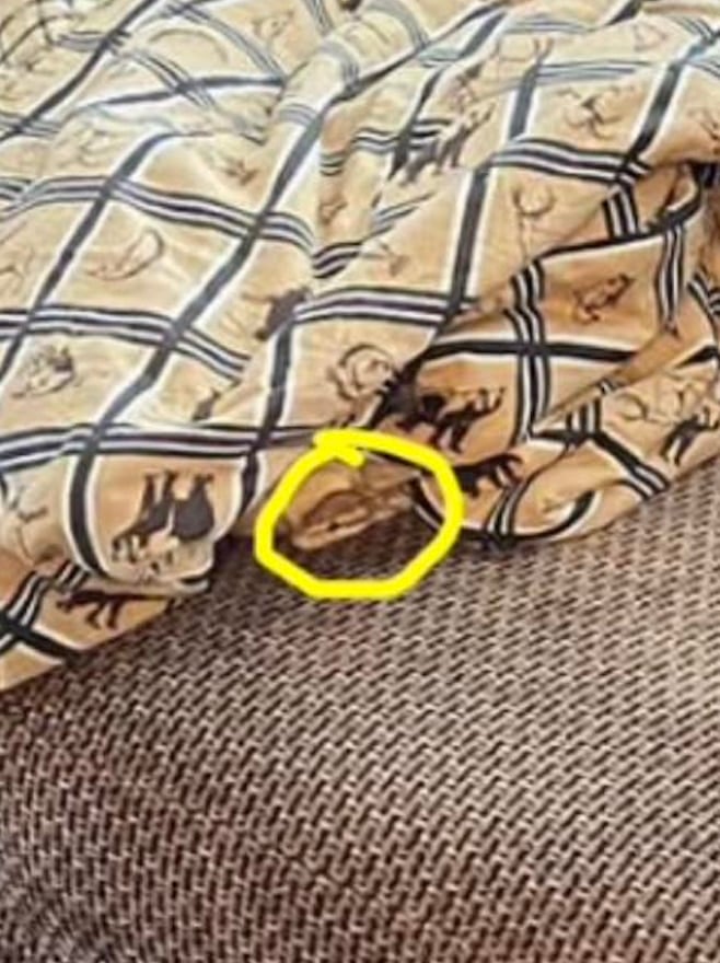 stigmiotypo othonis 2025 12 21 01.56.12