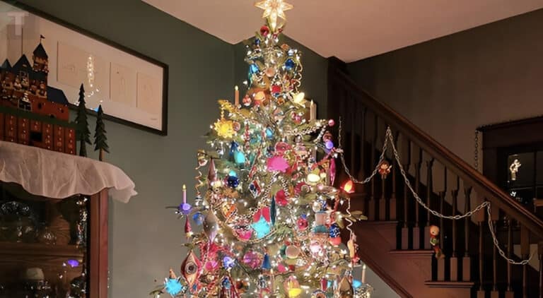 Ποτέ μην τοποθετείτε το χριστουγεννιάτικο δέντρο σε αυτά τα 7 μέρη – Προσελκύετε κακοτυχία και εντάσεις