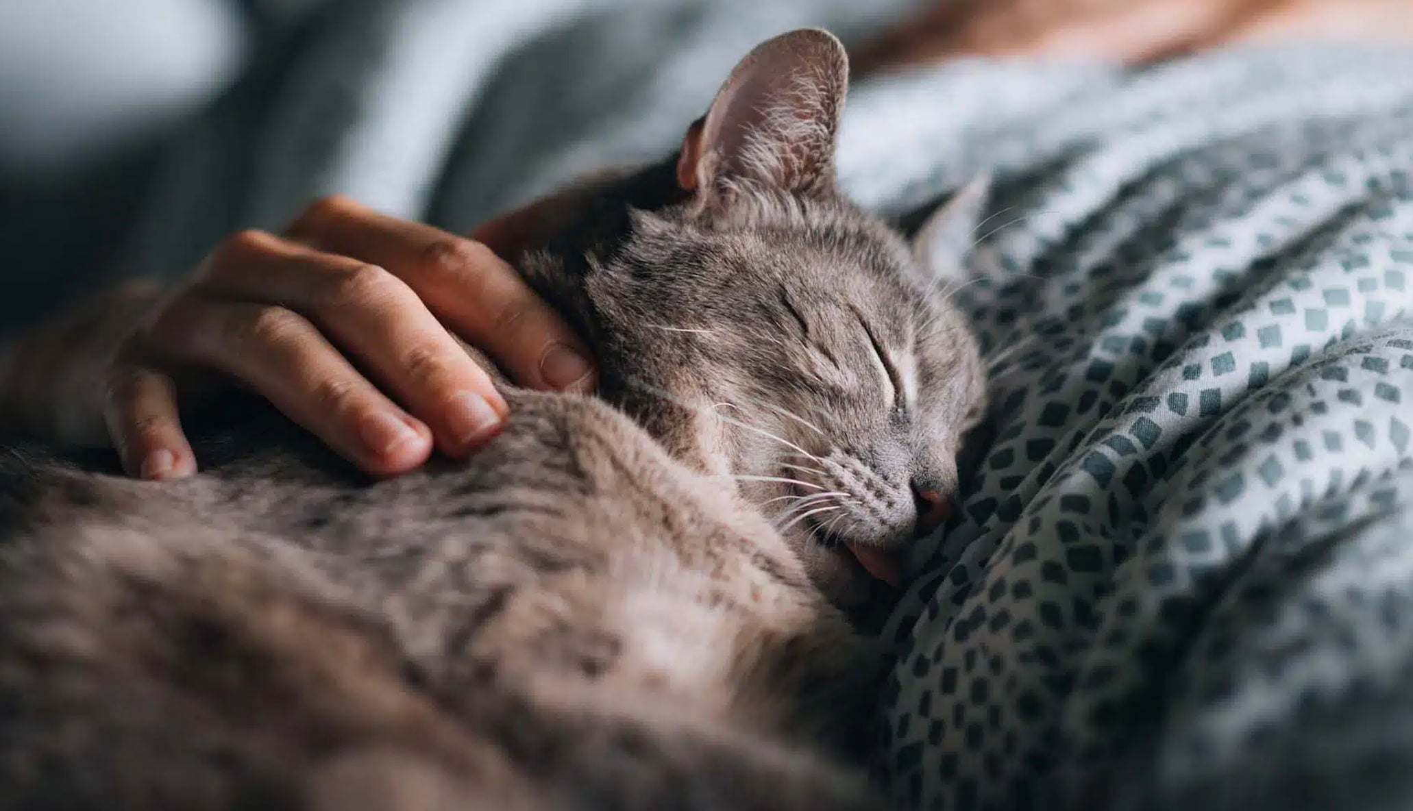 stigmiotypo othonis 2025 12 23 17.38.01