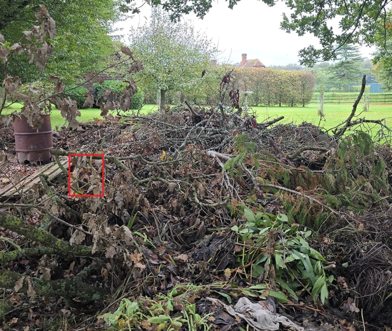 stigmiotypo othonis 2025 12 24 07.05.45