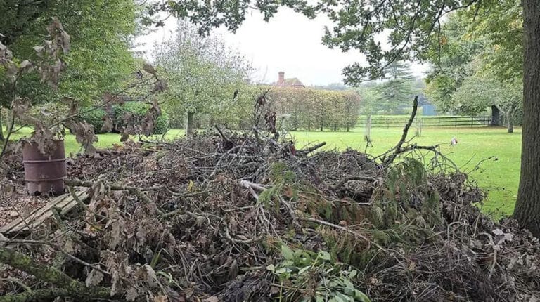 Μόνο όσοι είναι εξαιρετικά παρατηρητικοί θα βρουν τον σκύλο που είναι κρυμμένος σε αυτή την εικόνα