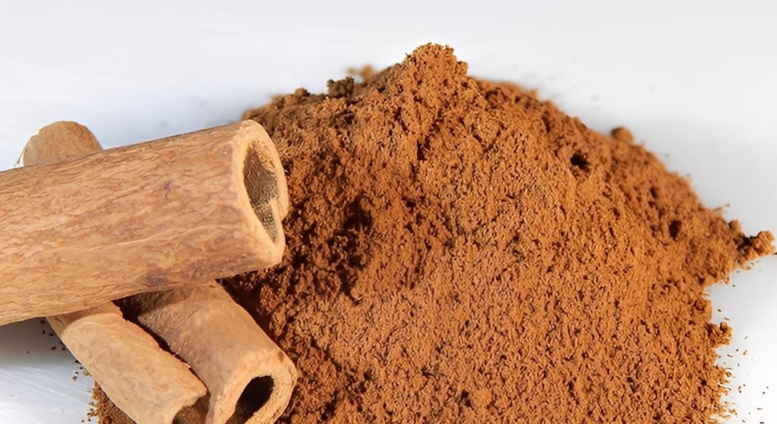 stigmiotypo othonis 2025 12 24 18.35.19