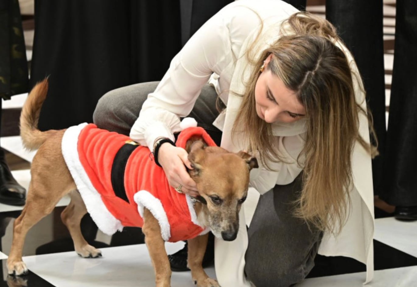 stigmiotypo othonis 2025 12 24 21.42.24