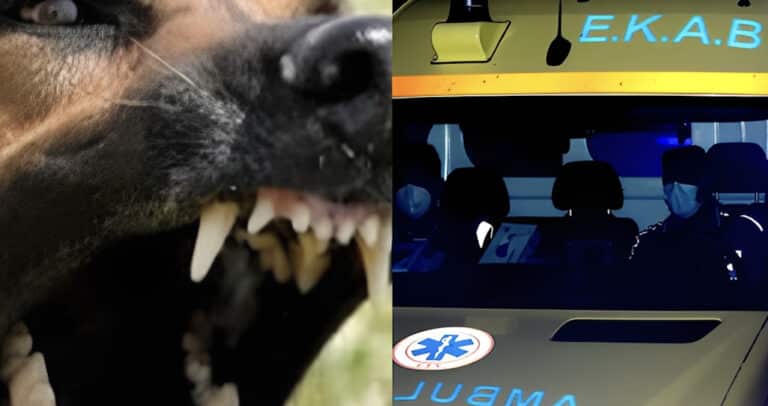 Της επιτέθηκε σκύλος και της έκοψε δύο δάχτυλα – Νύχτα τρόμου ανήμερα τα Χριστούγεννα