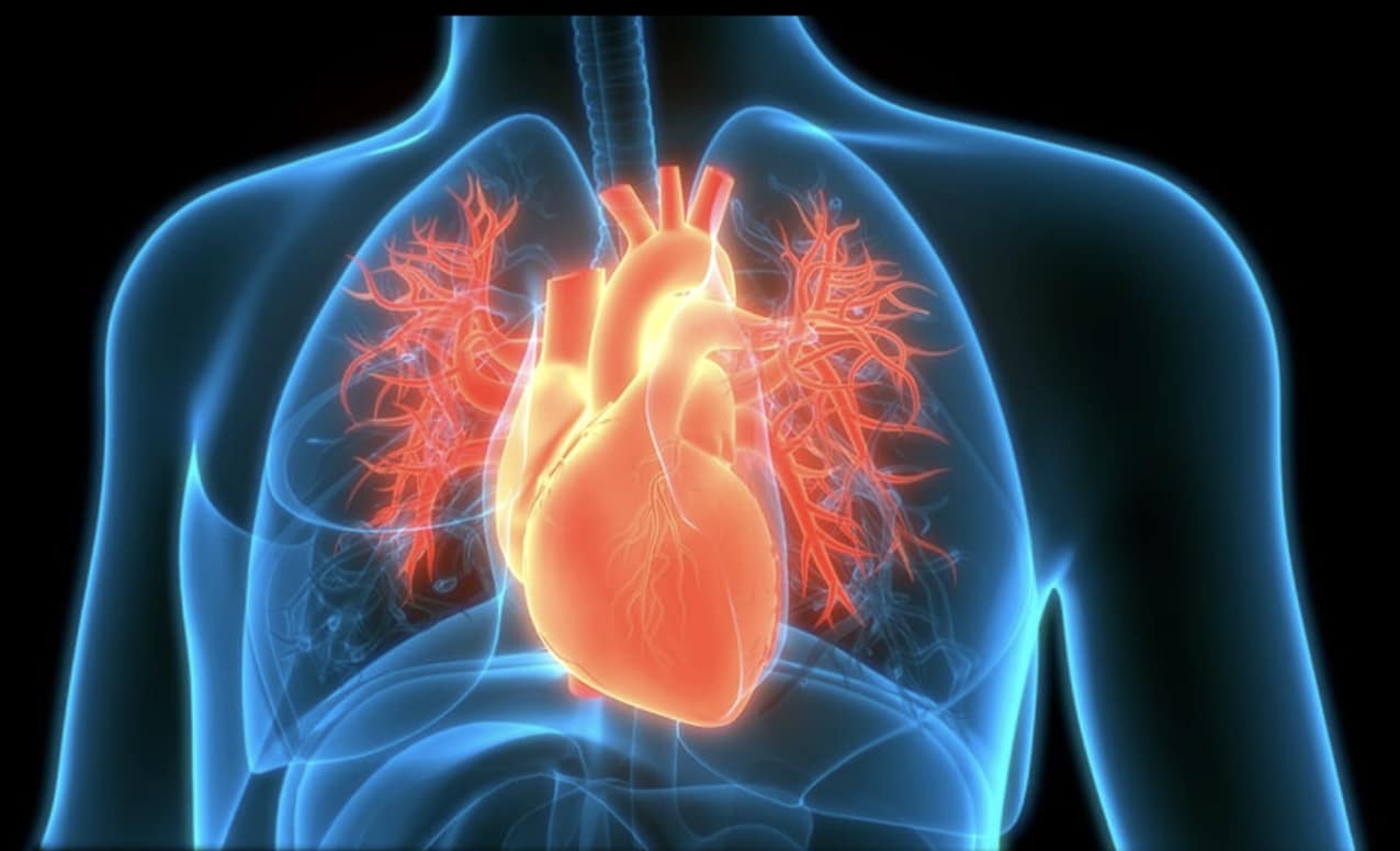 stigmiotypo othonis 2025 12 26 20.42.21