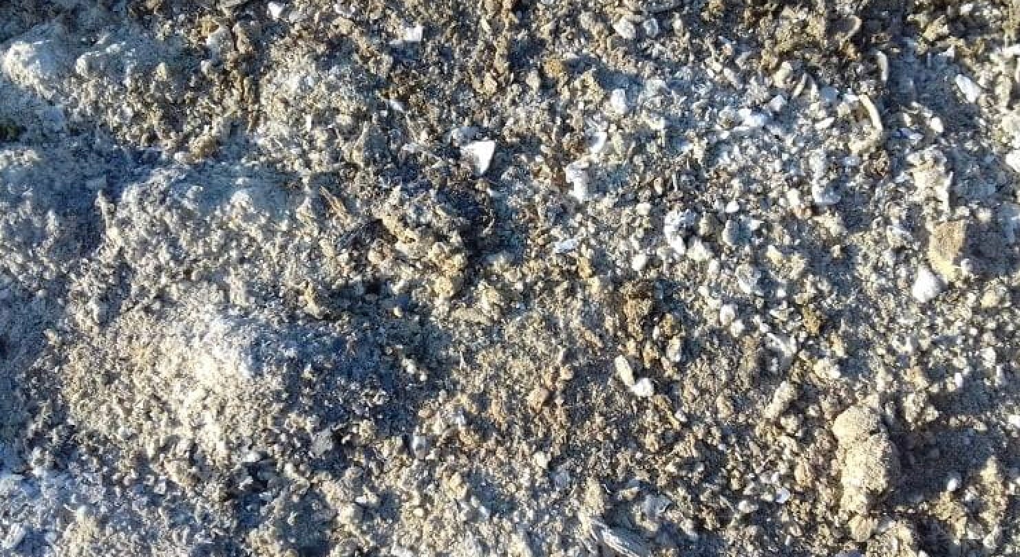 stigmiotypo othonis 2025 12 29 00.58.32