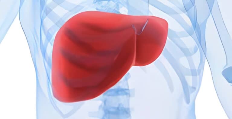Πόσο καιρό παίρνει στο συκώτι να επανέλθει σε κανονική λειτουργία μετά την κατανάλωση αλκοόλ