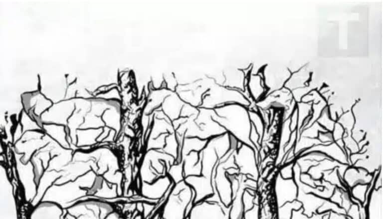 Το πρώτο ζώο που βλέπετε αποκαλύπτει κάτι καταπληκτικό για την προσωπικότητα σας