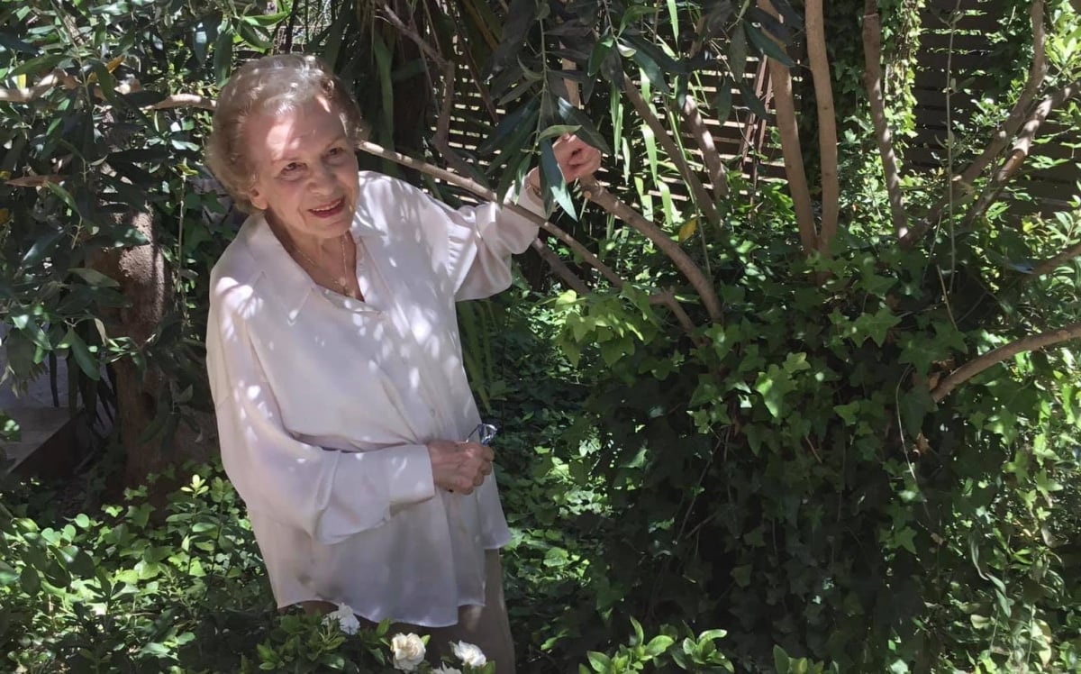 sylvaakrita 1 1200x748 1