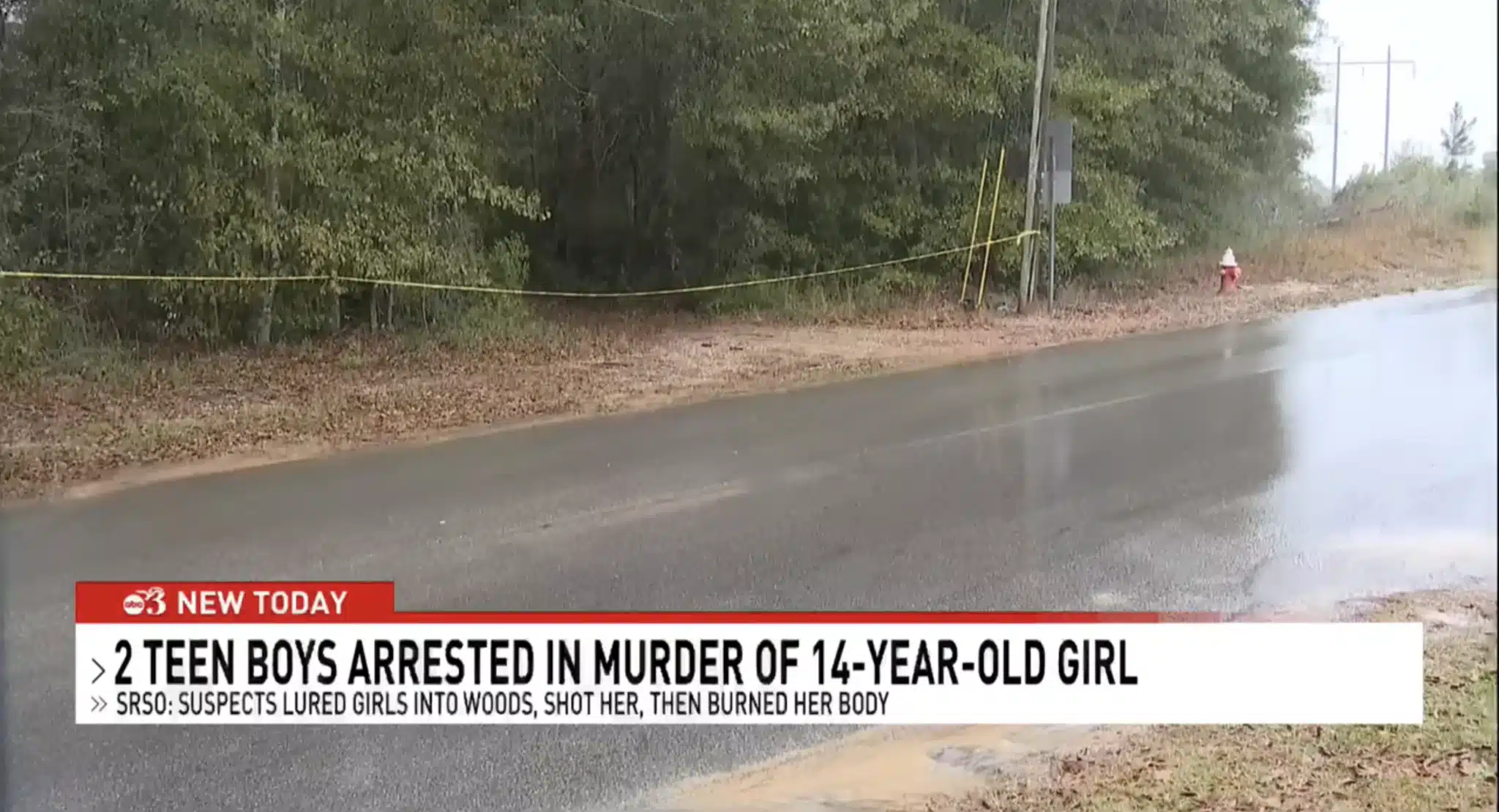 Φρικτή δολοφονία 14χρονης – Ανήλικοι την παρέσυραν στο δάσος, την πυροβόλησαν και την έκαψαν 5 www facebook com southsrnews posts 116907430