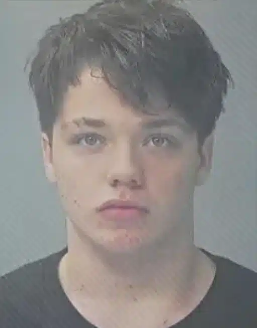 Φρικτή δολοφονία 14χρονης – Ανήλικοι την παρέσυραν στο δάσος, την πυροβόλησαν και την έκαψαν 4 www facebook com southsrnews posts 116907435