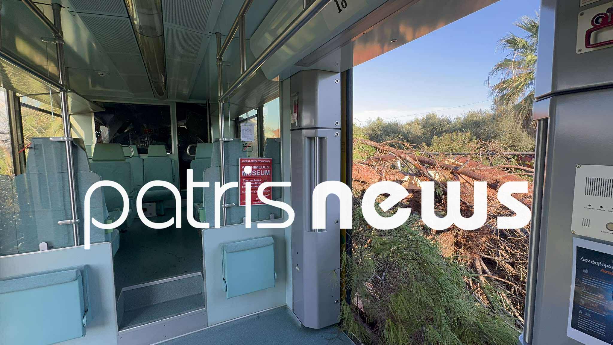 621830498 1598691427826041 2499490700486992139 n