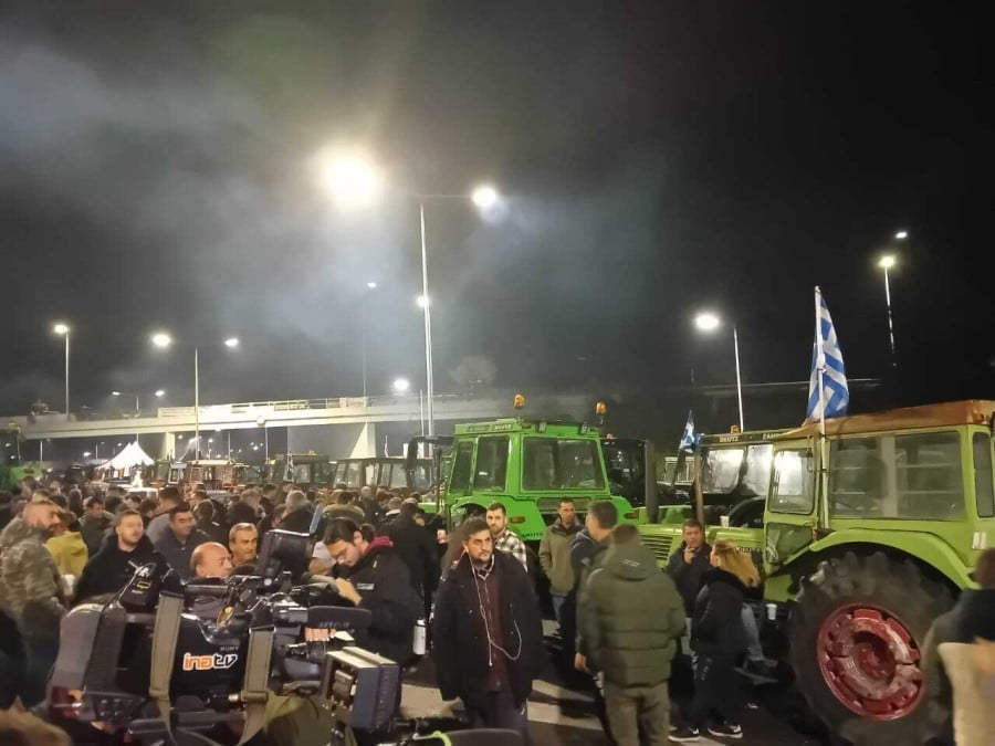 agrotes nikaia c7a23