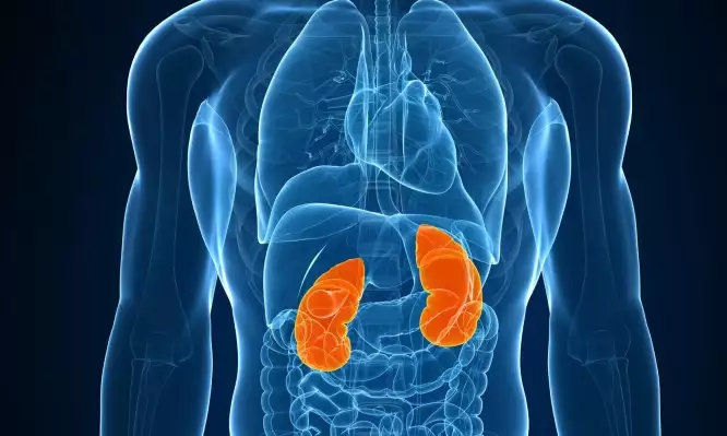 c34b8d9d7d537cc00f7c45a1fb78b4c7 666x399 1