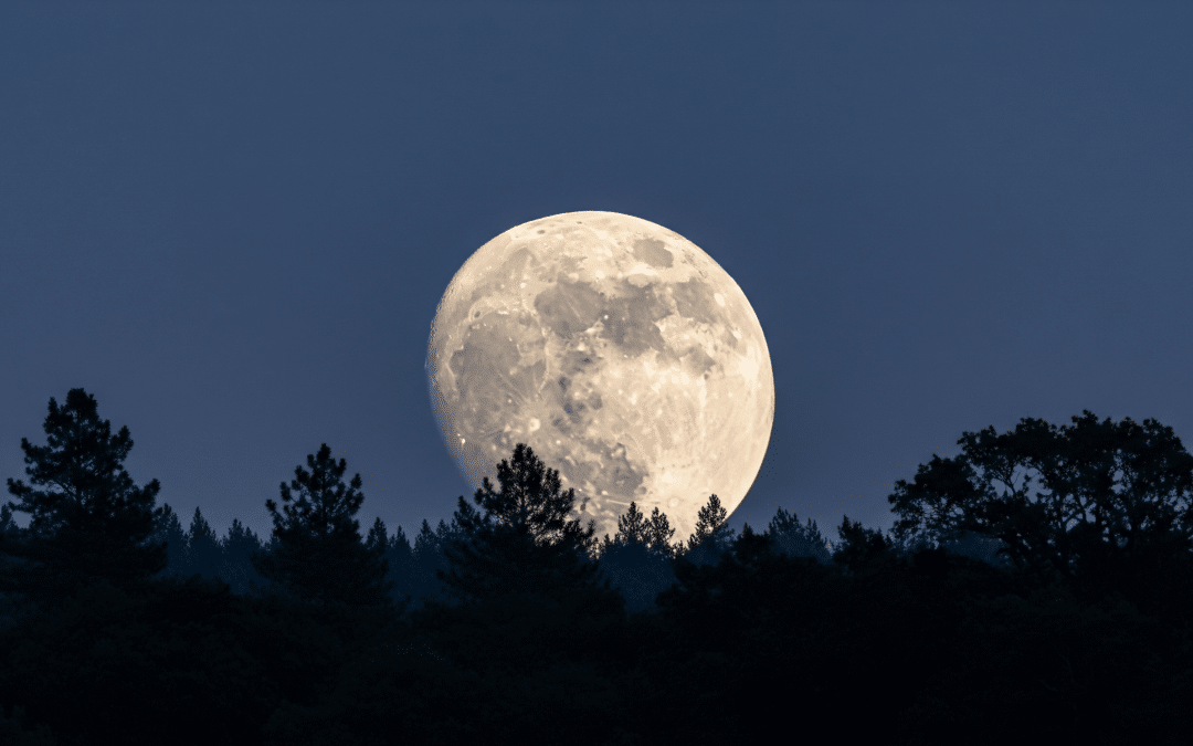 full moon over forest2 vedic astrology ayurveda scaled 1 1080x675 1