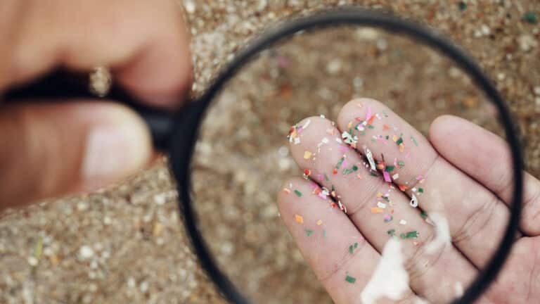 microplastics istock 1393825220 768x432 1