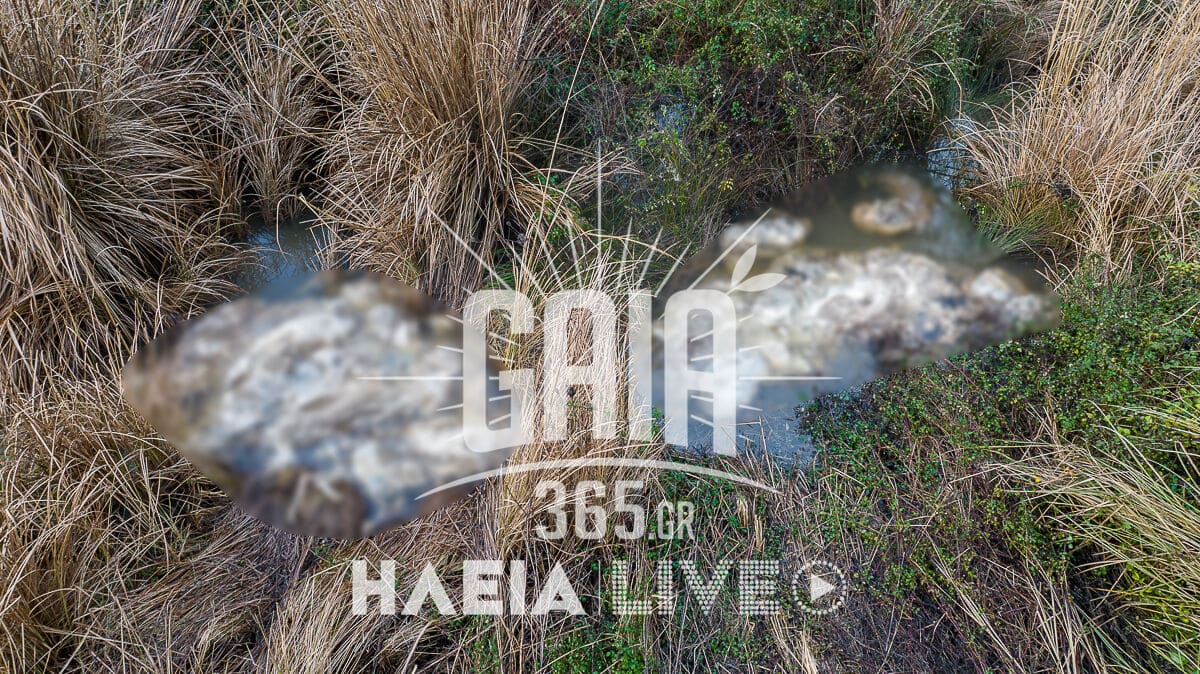 nekra provata alfeios 2