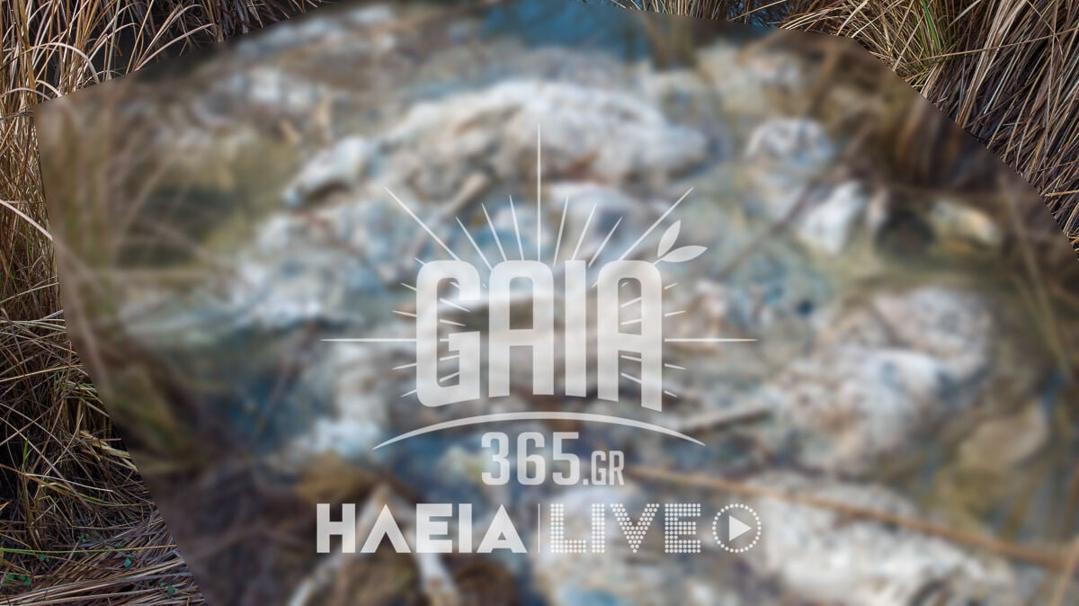 nekra provata alfeios 5