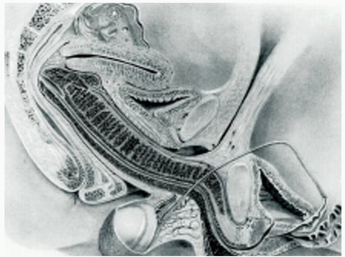 stigmiotypo othonis 2026 01 06 18.37.47