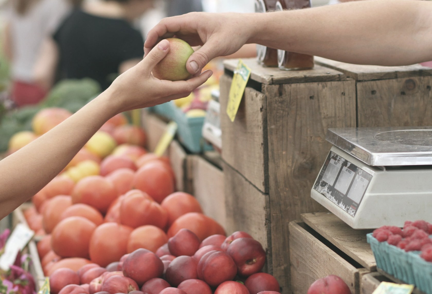 stigmiotypo othonis 2026 01 07 21.01.28