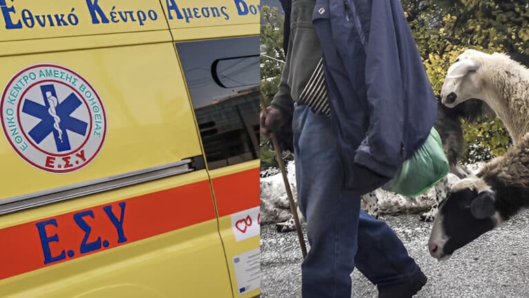 Σοκ στην Πιερία: Αυτοκτόνnσε κτηνοτρόφος – Είχαν θανατώσει το κοπάδι του