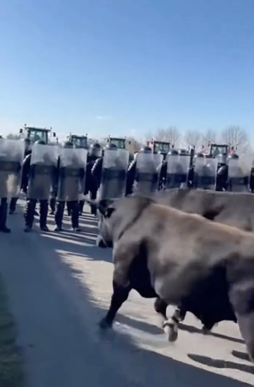 stigmiotypo othonis 2026 01 10 17.12.09