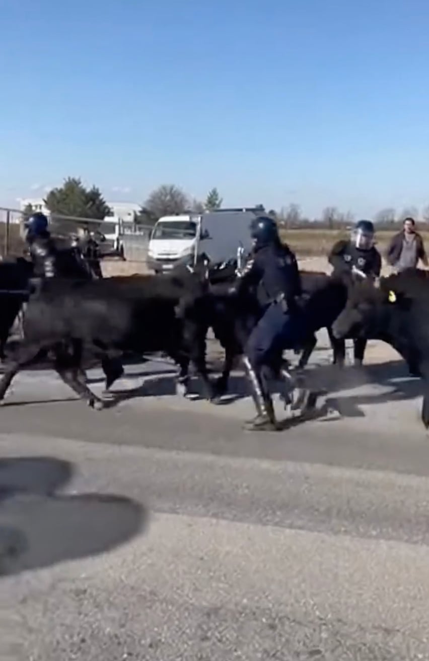 stigmiotypo othonis 2026 01 10 17.12.23