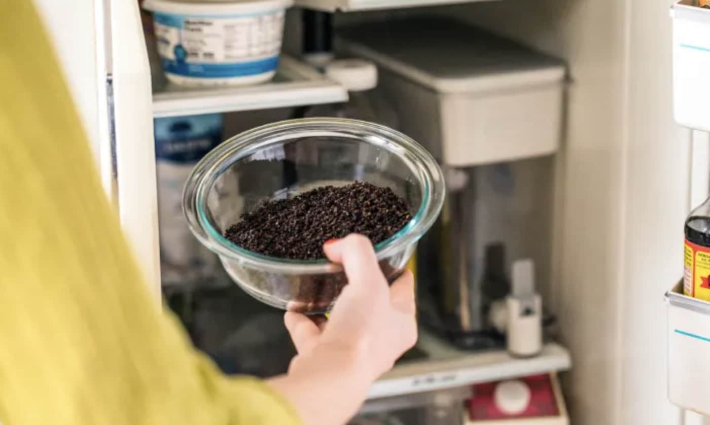 stigmiotypo othonis 2026 01 15 01.19.48