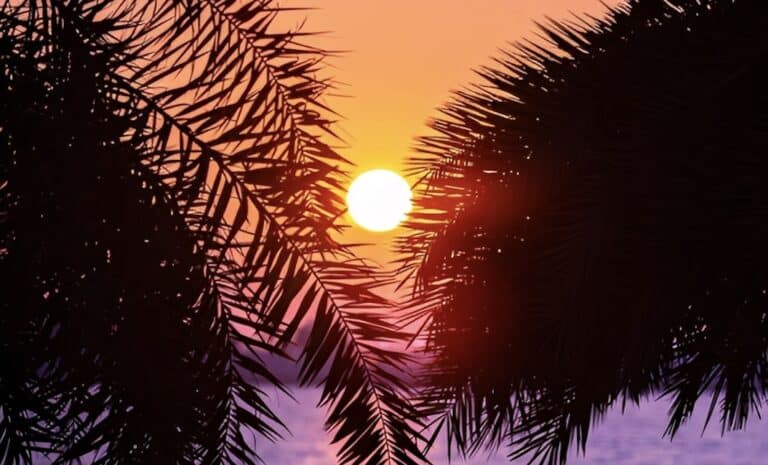 Έρχονται οι Αλκυονίδες μέρες – Πότε ο καιρός θα θυμίζει άνοιξη