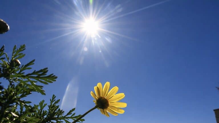 Από χιόνι σε ήλιο: Οι Αλκυονίδες φέρνουν ένα «μίνι καλοκαίρι» στην καρδιά του χειμώνα