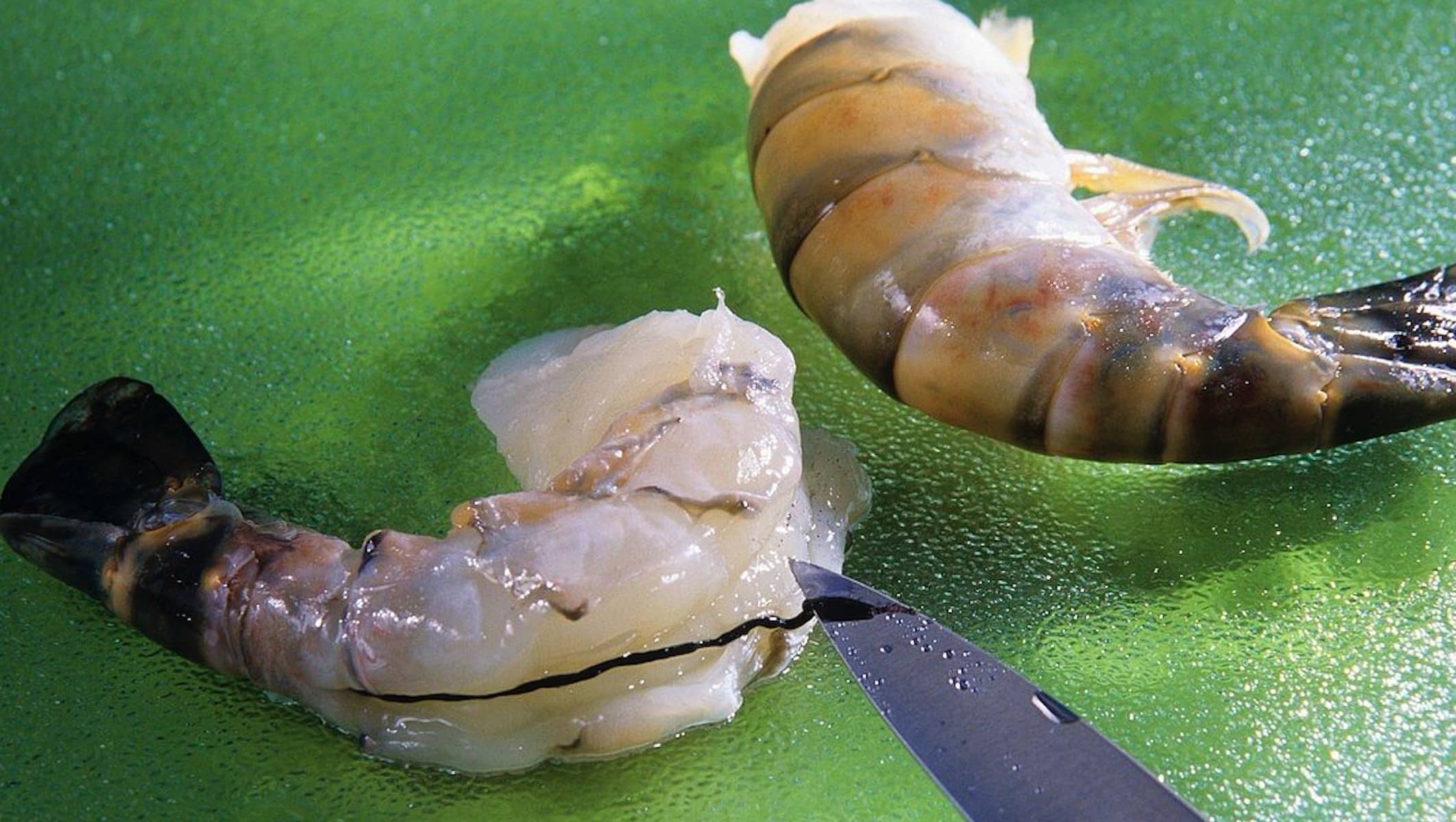 stigmiotypo othonis 2026 01 23 02.03.50