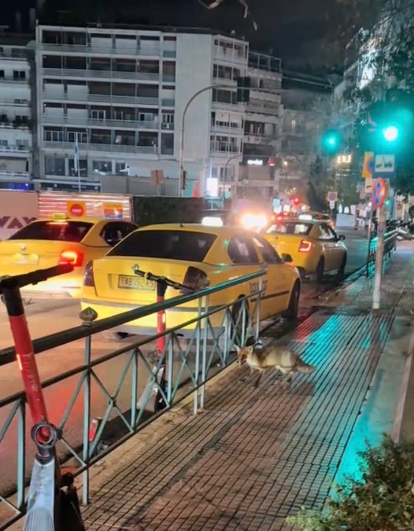 stigmiotypo othonis 2026 01 24 17.58.39