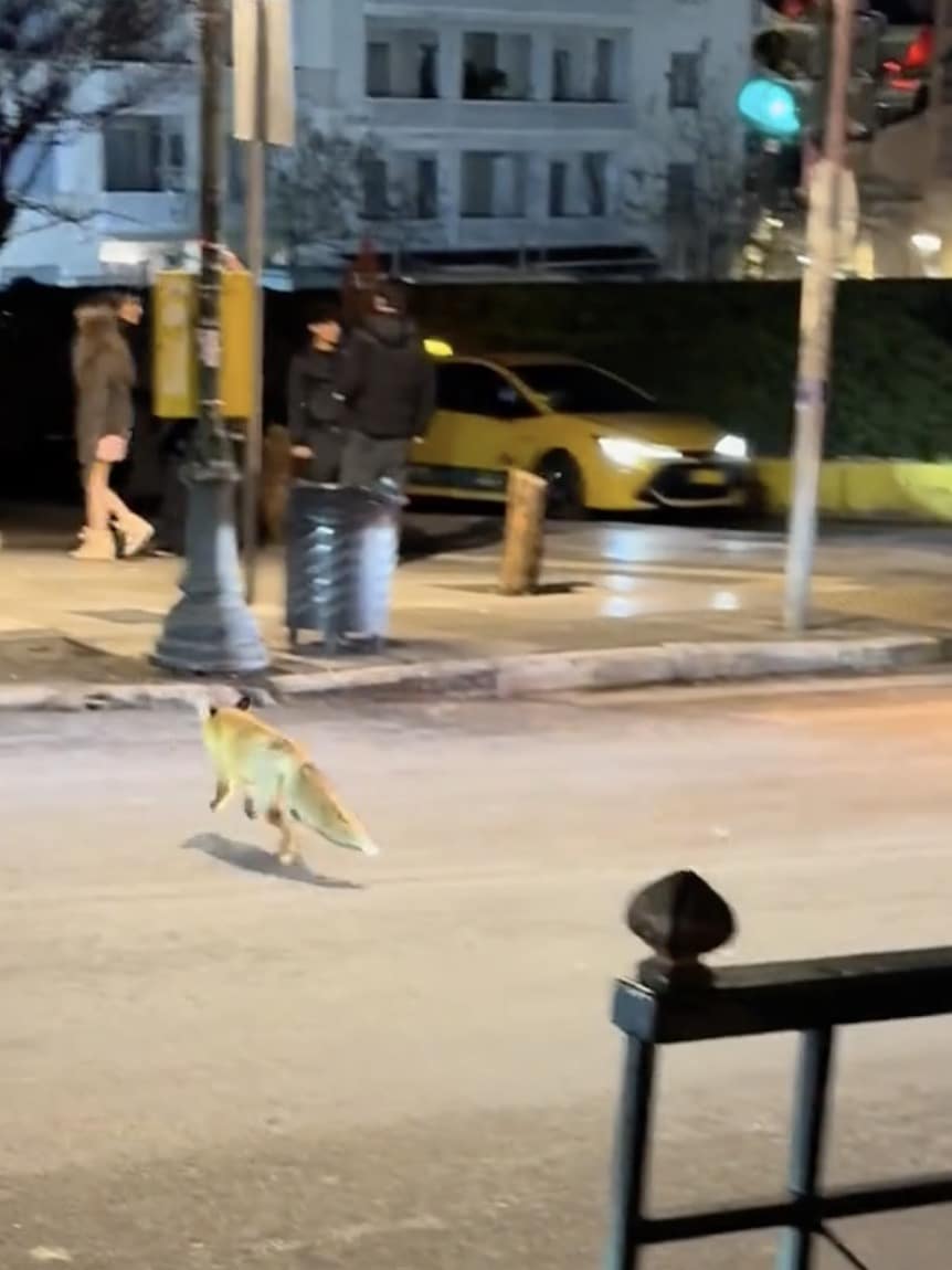 stigmiotypo othonis 2026 01 24 17.58.45