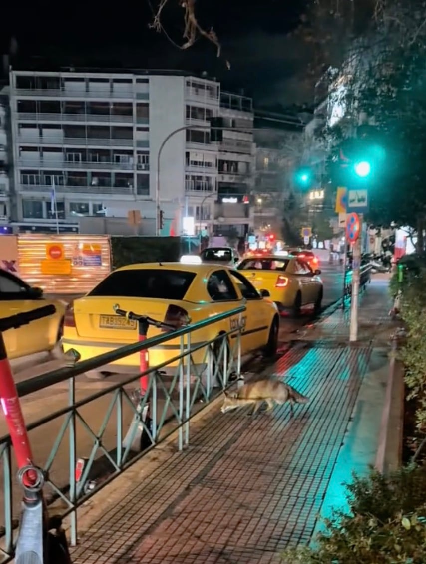 stigmiotypo othonis 2026 01 24 17.58.54