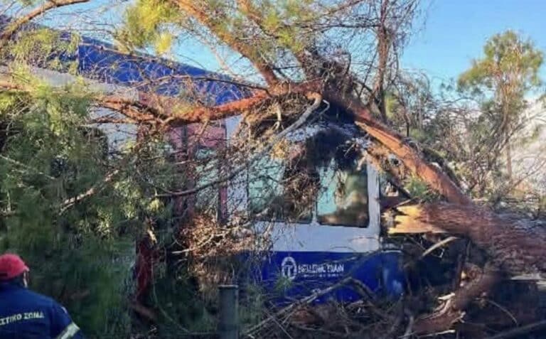 Πεύκο έπεσε πάνω σε τρένο – Στο Νοσοκομείο ο μηχανοδηγός