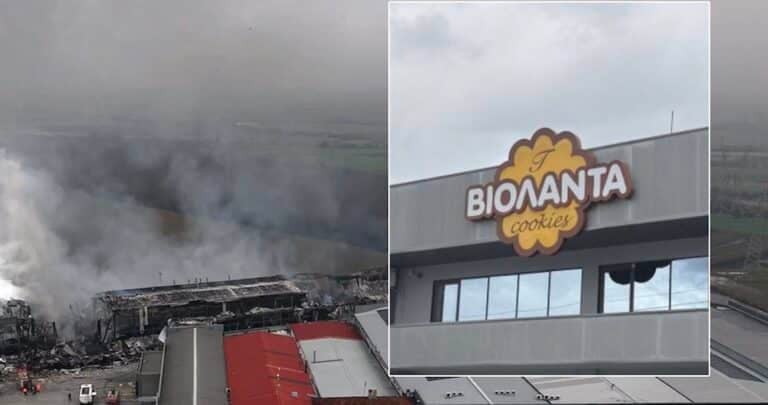 Βιολάντα: Ελεύθεροι ο ιδιοκτήτης και οι άλλοι δυο κατηγορούμενοι χωρίς περιοριστικούς όρους