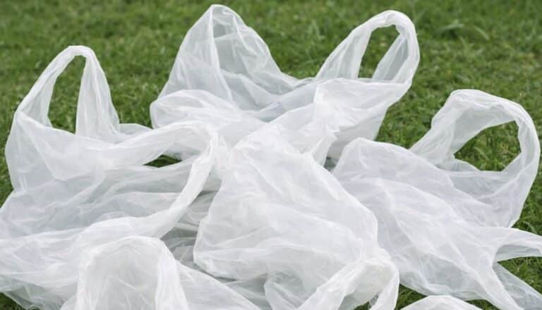 Σταματήστε να πετάτε τις πλαστικές σακούλες από τα ψώνια – 10 έξυπνα κóλπα για να τις χρησιμοποιήσετε μέσα στο σπίτι
