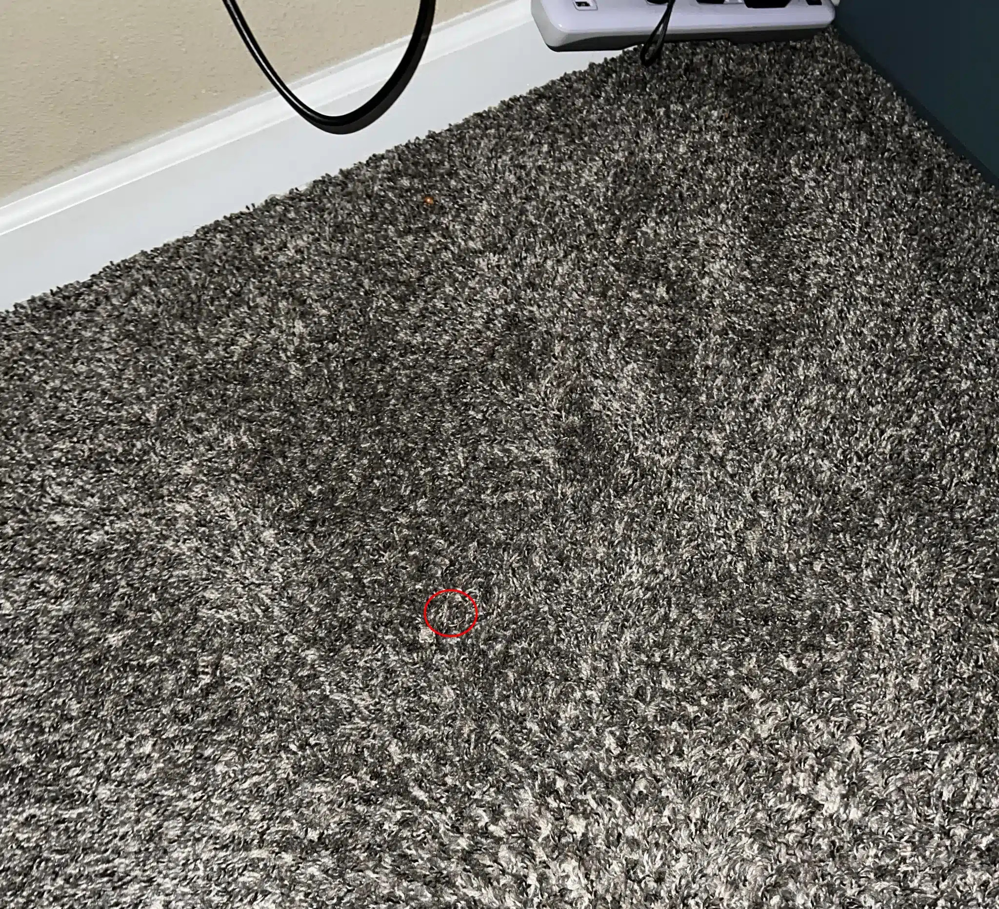 20 20 vision spot dropped 924785951