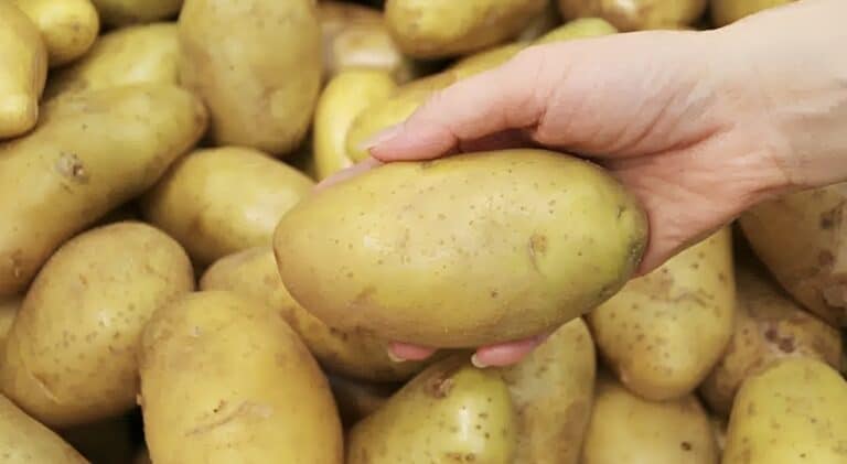 Συναγερμός για θανατηφόρο φυτοφάρμακο σε πασίγνωστη ποικιλία πατάτας