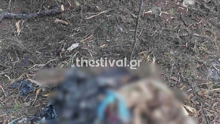 Φρίκη στην Χαλκιδική με τα πτώμα γυναίκας μέσα σε σακούλα – Μαθεύτηκε το πως βρέθηκε και σοκάρει