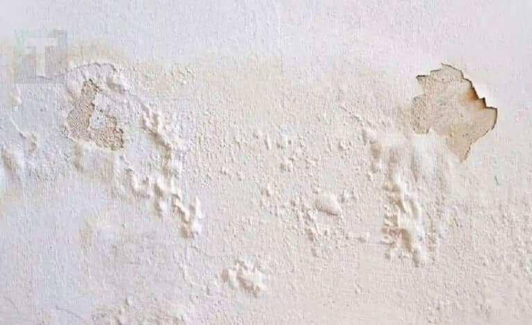 Πώς να αντιμετωπίσετε μουχλιασμένους, φουσκωμένους  ή ξεφλουδισμένους τοίχους χωρίς να προσλάβετε επαγγελματία