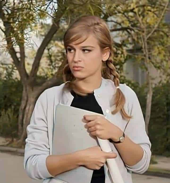 601488153 1392471195835183 525634838407593863 n