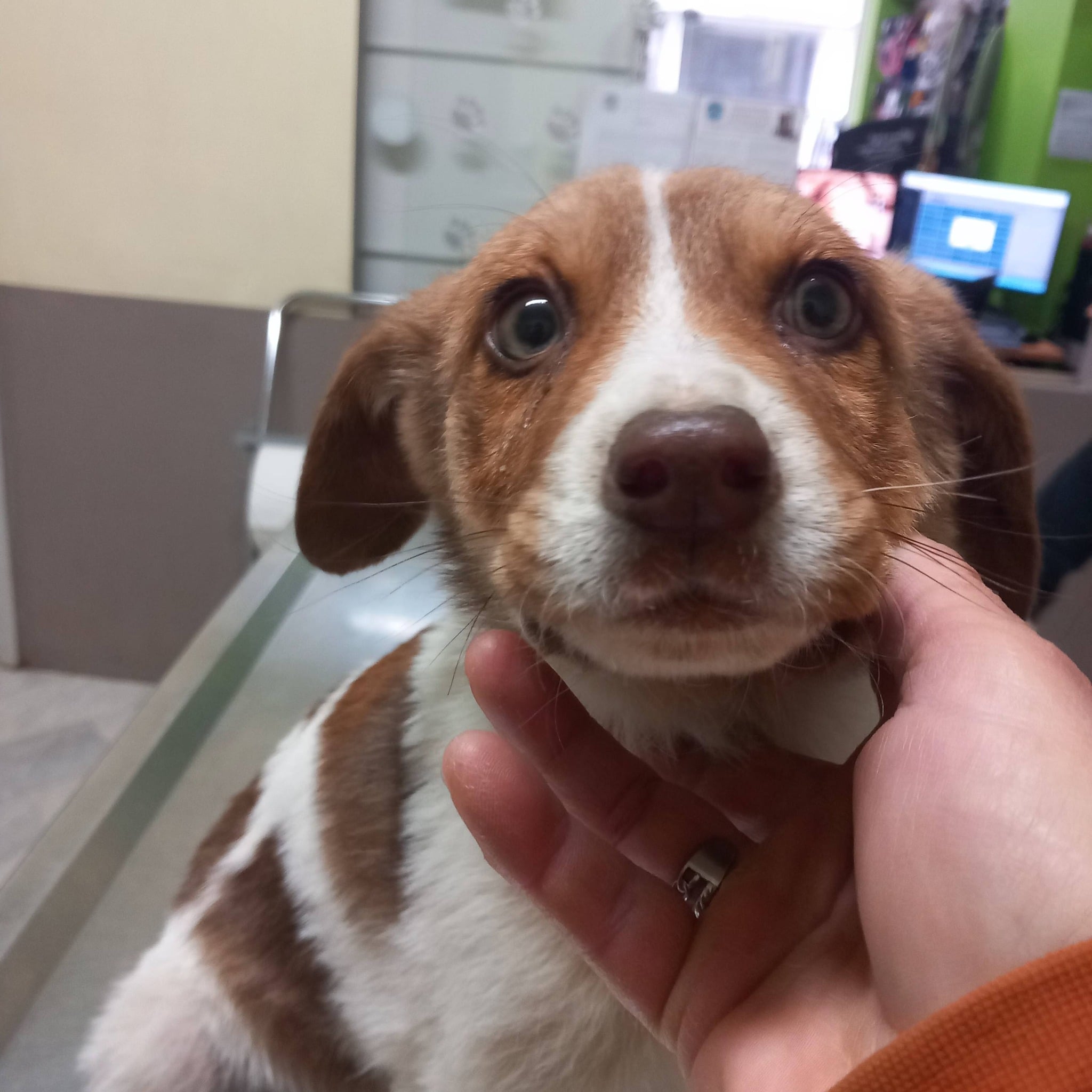 618613307 10237385577572590 1085972119295179699 n