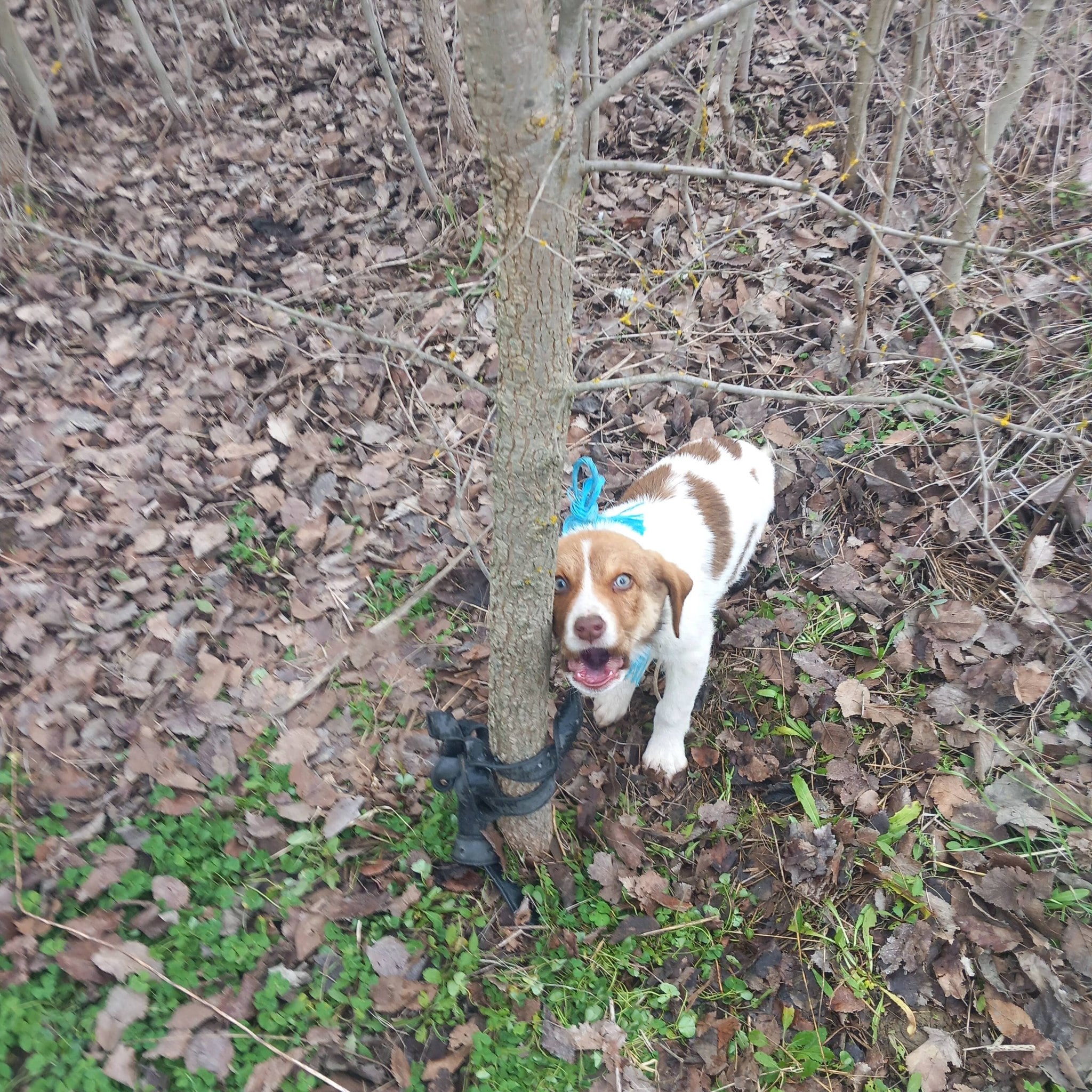 618702074 10237385560612166 5959965681542071494 n