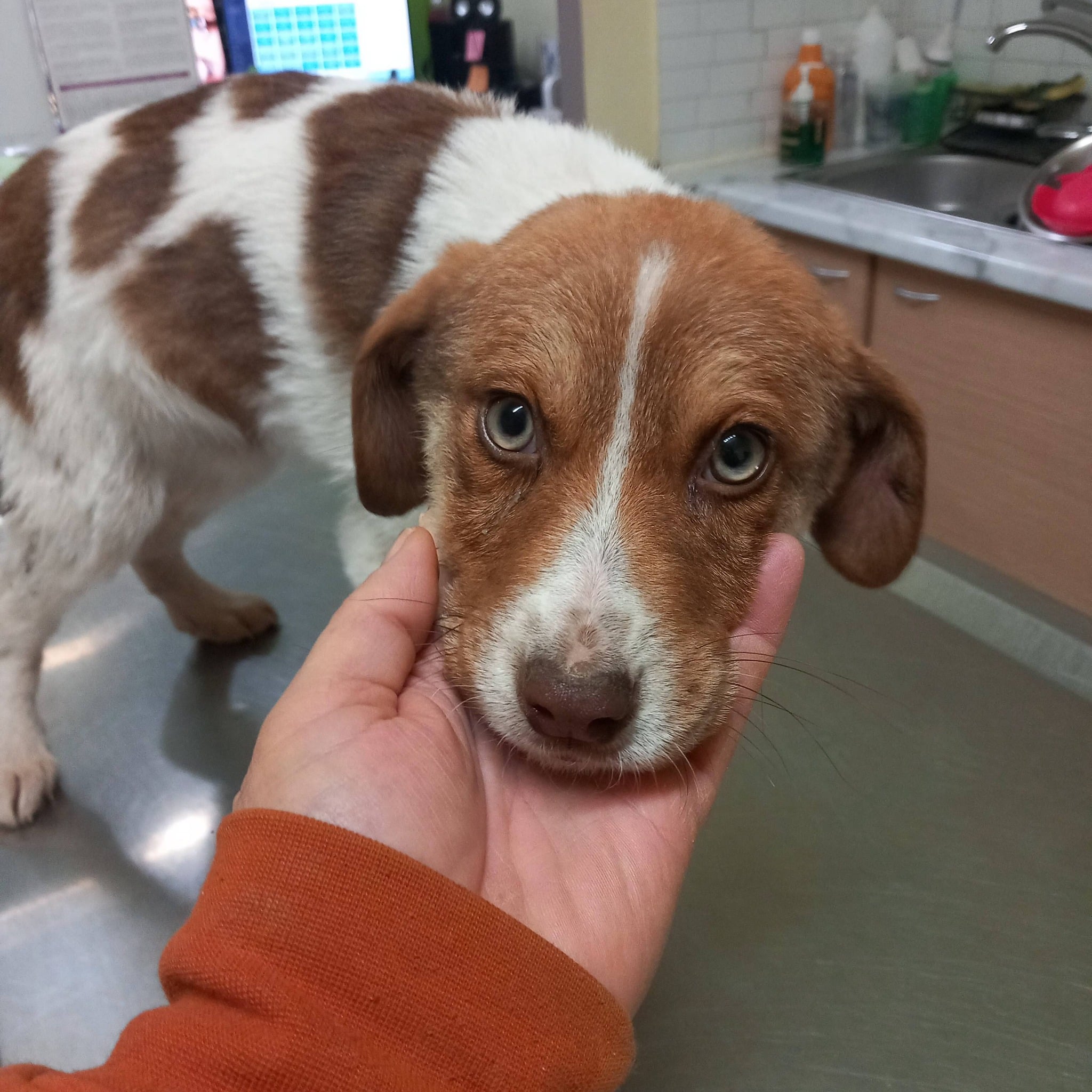 618704414 10237385588652867 1681630435889201881 n