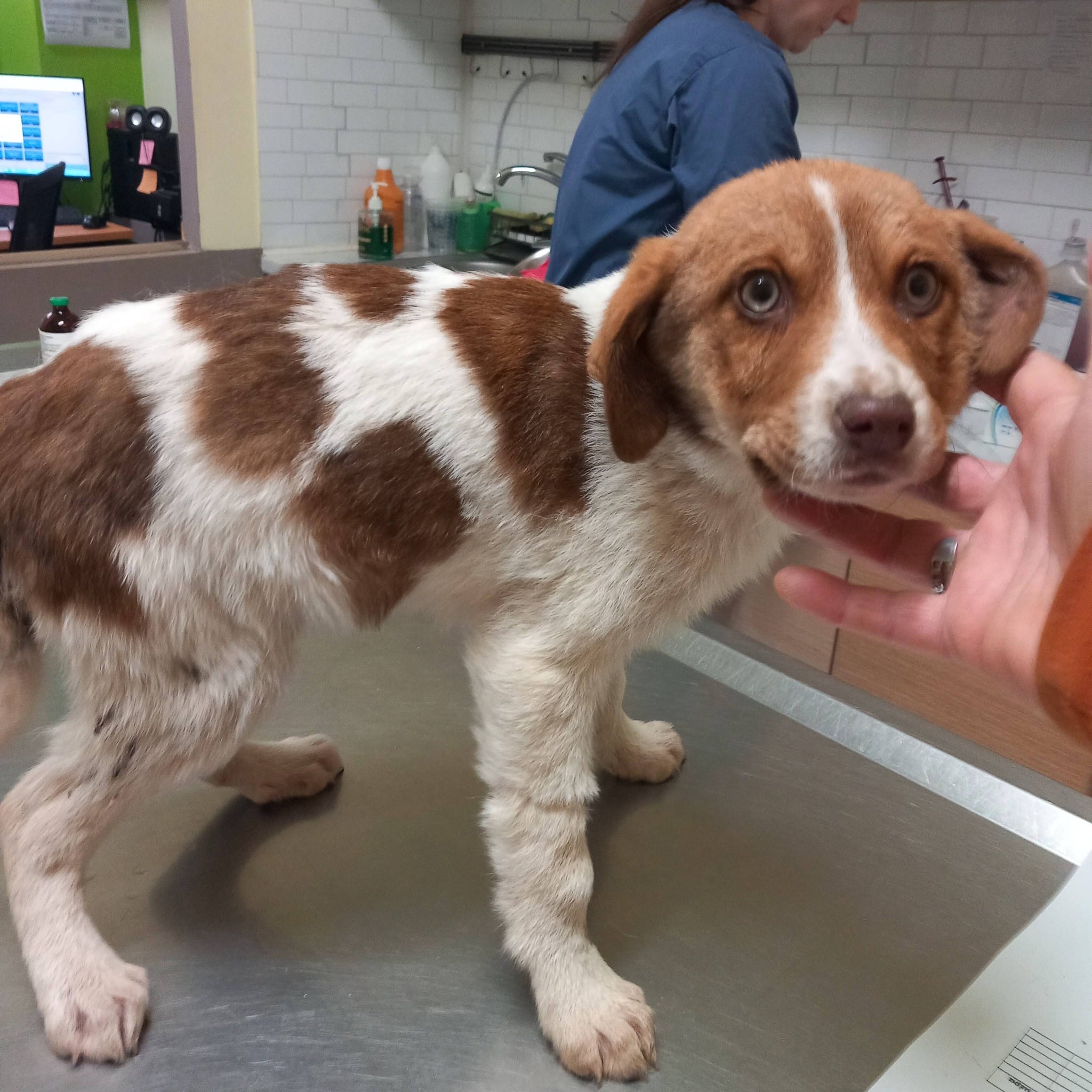 619221747 10237385573972500 8997526495727887434 n