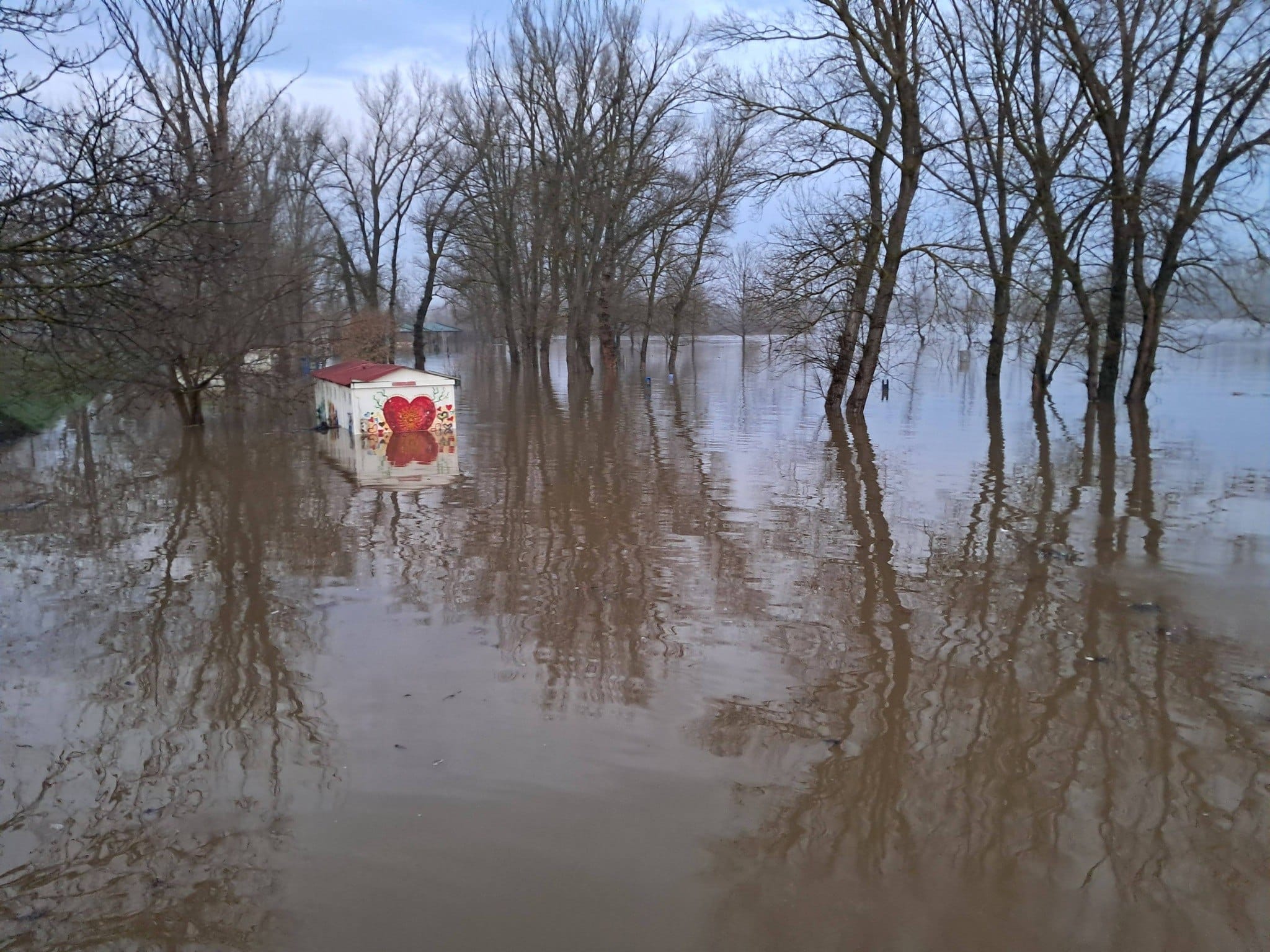 628033013 1380374634103192 8055786022887170831 n