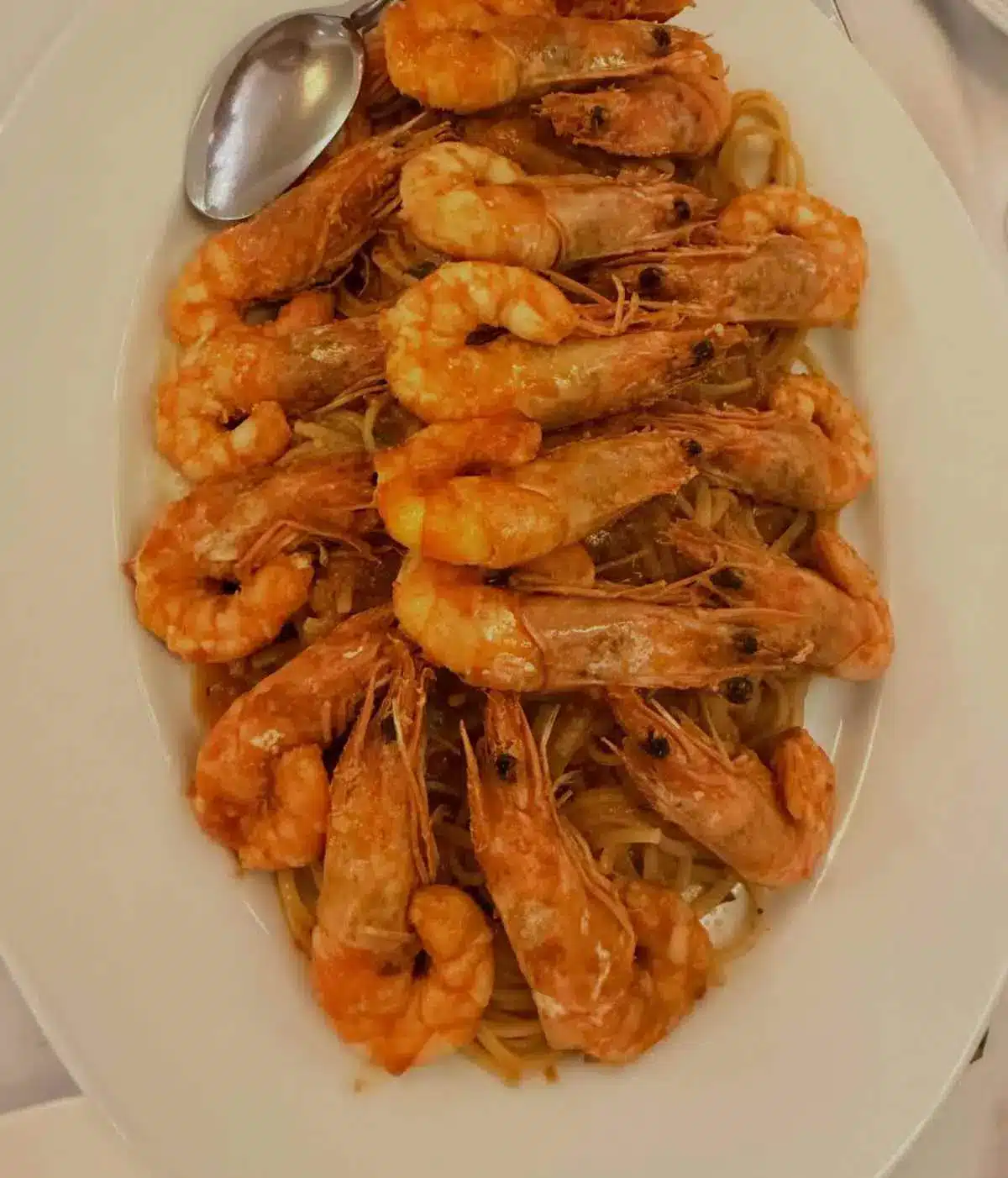 641448095 18564040183029687 8303070827780548763 n.jpg